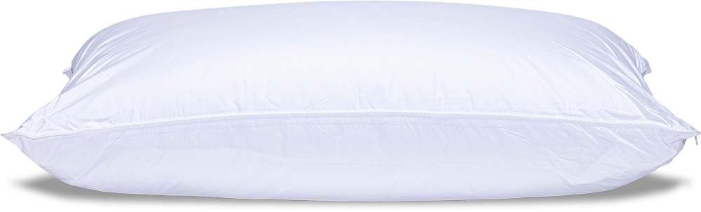 Oreiller Duvet et plumes