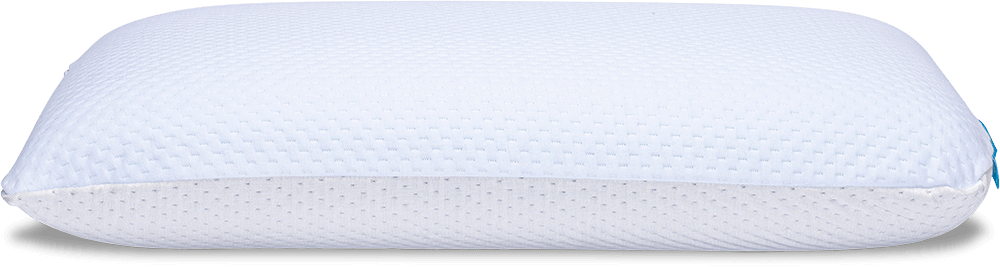 Bio Aloe Pillow
