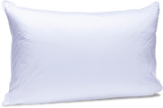 Oreiller Duvet et plumes