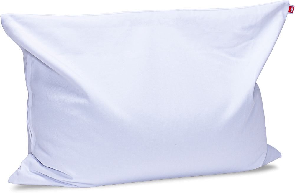 Buckwheat scales Pillow